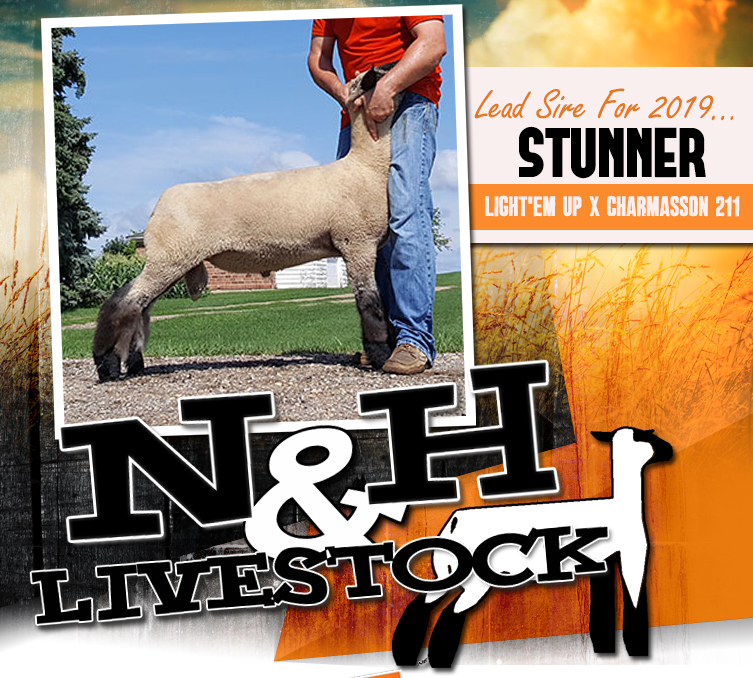 N&H Livestock