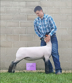 N & H Winners