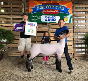 N & H Winners