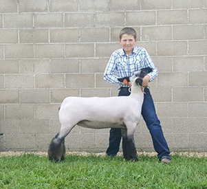 N & H Winners