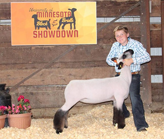 N & H Winners